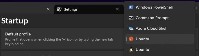 windows terminal default profile settings